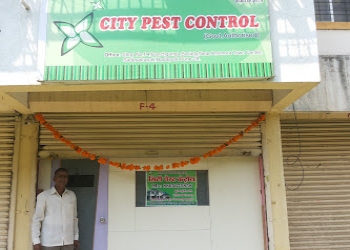 City-pest-control-Pest-control-services-Bhosari-pune-Maharashtra-1