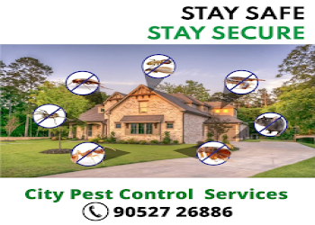 City-pest-control-rajahmundry-Pest-control-services-Rajahmundry-rajamahendravaram-Andhra-pradesh-2