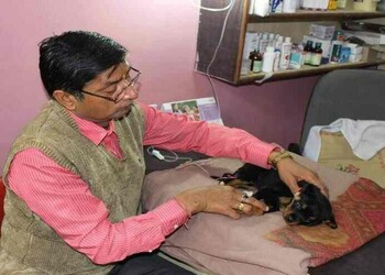 City-pet-clinic-Veterinary-hospitals-Gwalior-Madhya-pradesh-2