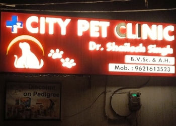 City-pet-clinic-Veterinary-hospitals-Kanpur-Uttar-pradesh-1