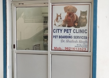 City-pet-clinic-Veterinary-hospitals-Kanpur-Uttar-pradesh-2