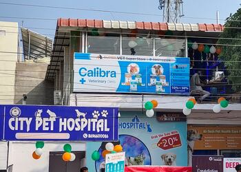City-pet-hospital-Veterinary-hospitals-Talwandi-kota-Rajasthan-1