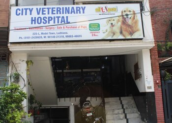 City-veterinary-hospital-Veterinary-hospitals-Bhai-randhir-singh-nagar-ludhiana-Punjab-1