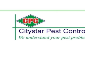 Citystar-pest-control-Pest-control-services-Mulund-mumbai-Maharashtra-1