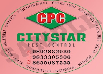 Citystar-pest-control-Pest-control-services-Mulund-mumbai-Maharashtra-2