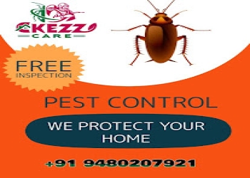 Ckezz-care-Pest-control-services-Hebbal-bangalore-Karnataka-2