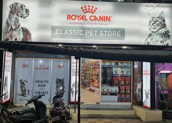 Classic-pet-store-Pet-stores-Anna-nagar-chennai-Tamil-nadu-1