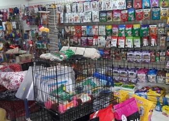 Classic-pet-store-Pet-stores-Choolaimedu-chennai-Tamil-nadu-2