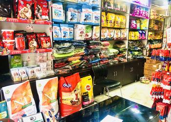 Claws-and-paws-pet-store-Pet-stores-Jammu-Jammu-and-kashmir-3