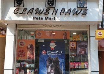 Claws-n-paws-pets-mart-Pet-stores-Varanasi-Uttar-pradesh-1