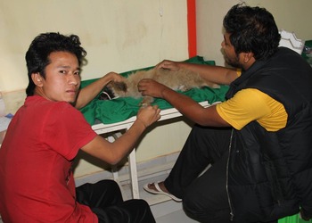 Claws-paws-Veterinary-hospitals-Imphal-Manipur-2
