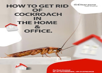 Clearzone-pest-control-Pest-control-services-Ambawadi-ahmedabad-Gujarat-2