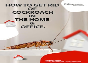 Clearzone-pest-control-Pest-control-services-Navrangpura-ahmedabad-Gujarat-2