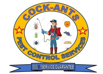 Cock-ants-pest-controls-Pest-control-services-Vasai-virar-Maharashtra-1
