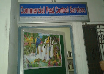 Commercial-pest-control-services-Pest-control-services-Vile-parle-mumbai-Maharashtra-2