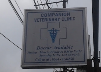 Companion-veterinary-clinic-Veterinary-hospitals-Shillong-Meghalaya-1