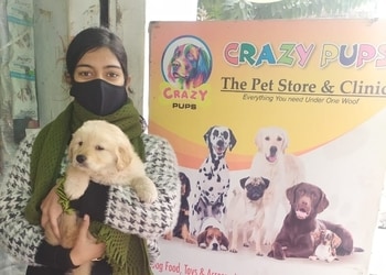 Crazy-pups-the-pet-store-Pet-stores-Bareilly-Uttar-pradesh-1