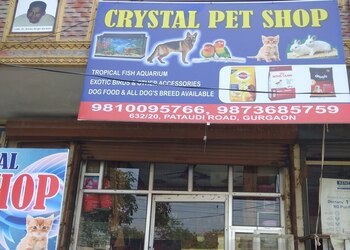Crystal-aquarium-pet-shop-Pet-stores-Gurugram-Haryana-1