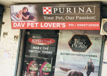 Dav-pet-lovers-Pet-stores-New-delhi-Delhi-1