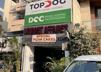 Dcc-animal-hospital-petcare-Veterinary-hospitals-Kalkaji-delhi-Delhi-1