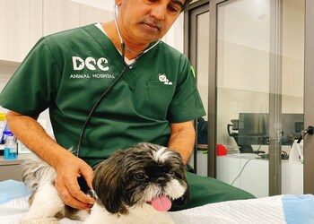 Dcc-animal-hospital-petcare-Veterinary-hospitals-Kalkaji-delhi-Delhi-3