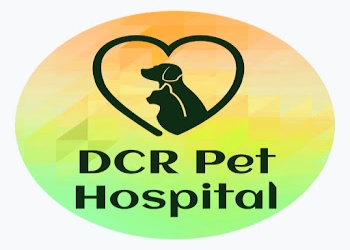 Dcr-pet-hospital-Veterinary-hospitals-Jaipur-Rajasthan-1