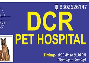 Dcr-pet-hospital-Veterinary-hospitals-Jaipur-Rajasthan-2