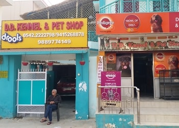 Dd-kennel-pet-shop-Pet-stores-Nadesar-varanasi-Uttar-pradesh-1