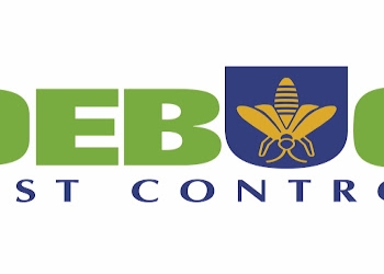 Debug-pest-solution-Pest-control-services-Vazirabad-nanded-Maharashtra-2