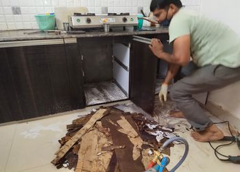 Deccan-pest-control-services-Pest-control-services-Hyderabad-Telangana-2