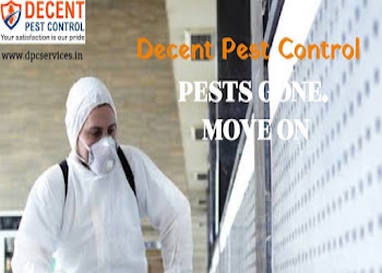 Decent-pest-control-pvt-ltd-Pest-control-services-Chinhat-lucknow-Uttar-pradesh-2