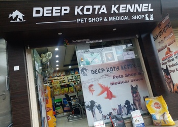 Deep-kota-kennel-pet-shop-Pet-stores-Kota-Rajasthan-1
