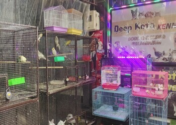Deep-kota-kennel-pet-shop-Pet-stores-Kota-Rajasthan-3