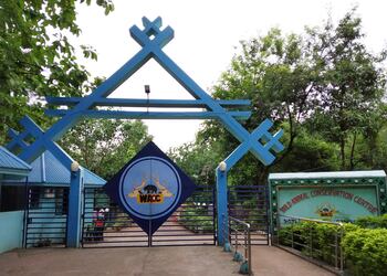 Deer-park-Public-parks-Sambalpur-Odisha-1
