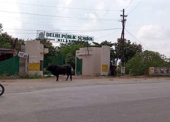Delhi-public-school-Cbse-schools-Bilaspur-Chhattisgarh-1