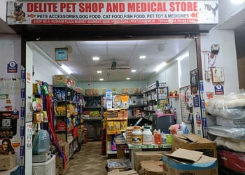 Delite-pet-shop-medical-store-Pet-stores-Jhusi-jhunsi-Uttar-pradesh-1