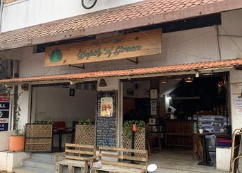 Depth-n-green-Cafes-Mysore-Karnataka-1
