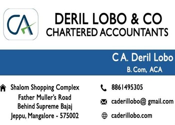 Deril-lobo-co-Tax-consultant-Mangalore-Karnataka-1