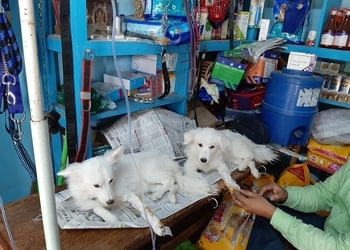 Dev-dog-clinic-Veterinary-hospitals-Varanasi-Uttar-pradesh-2