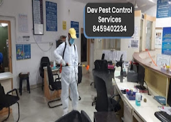 Dev-pest-control-services-Pest-control-services-Civil-lines-nagpur-Maharashtra-2