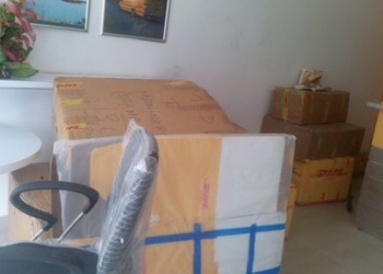 Dhl-express-india-pvt-ltd-Courier-services-Kadri-mangalore-Karnataka-3