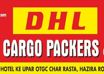 Dhl-safe-cargo-Packers-and-movers-Jammu-Jammu-and-kashmir-1