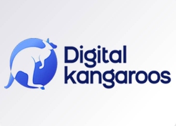 Digital-kangaroos-Digital-marketing-agency-Ludhiana-Punjab-1