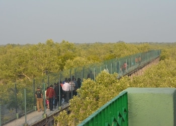 Discover-sundarban-Travel-agents-Baranagar-kolkata-West-bengal-3