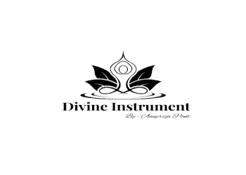 Divine-instrument-by-spiritual-coach-anupriya-Numerologists-Prem-nagar-dehradun-Uttarakhand-1