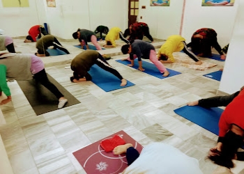 Divine-yoga-institute-Yoga-classes-Bhai-randhir-singh-nagar-ludhiana-Punjab-2