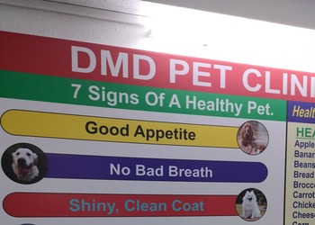 Dmd-pet-clinic-and-pet-shop-Veterinary-hospitals-Ranchi-Jharkhand-1