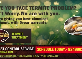 Dmp-pest-control-services-Pest-control-services-Balasore-Odisha-1