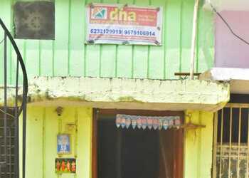 Dna-pest-control-solution-Pest-control-services-Pandri-raipur-Chhattisgarh-1