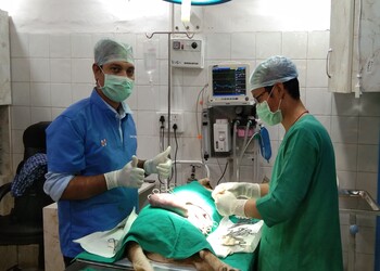 Dog-and-cat-clinic-Veterinary-hospitals-Saket-delhi-Delhi-3
